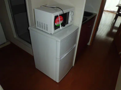 冷蔵庫と電子レンジ。