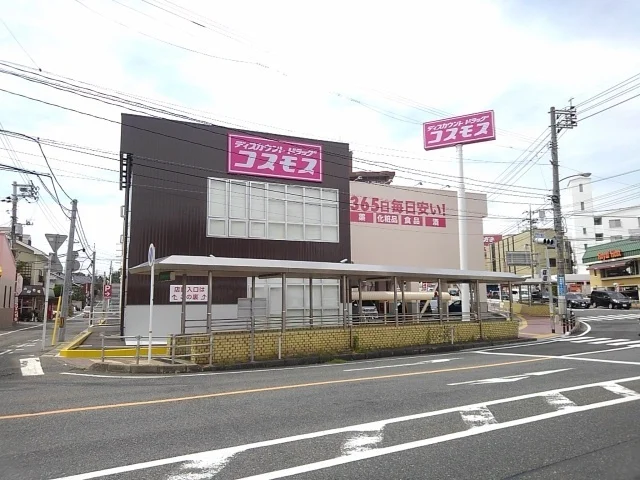 コスモスまで1100m