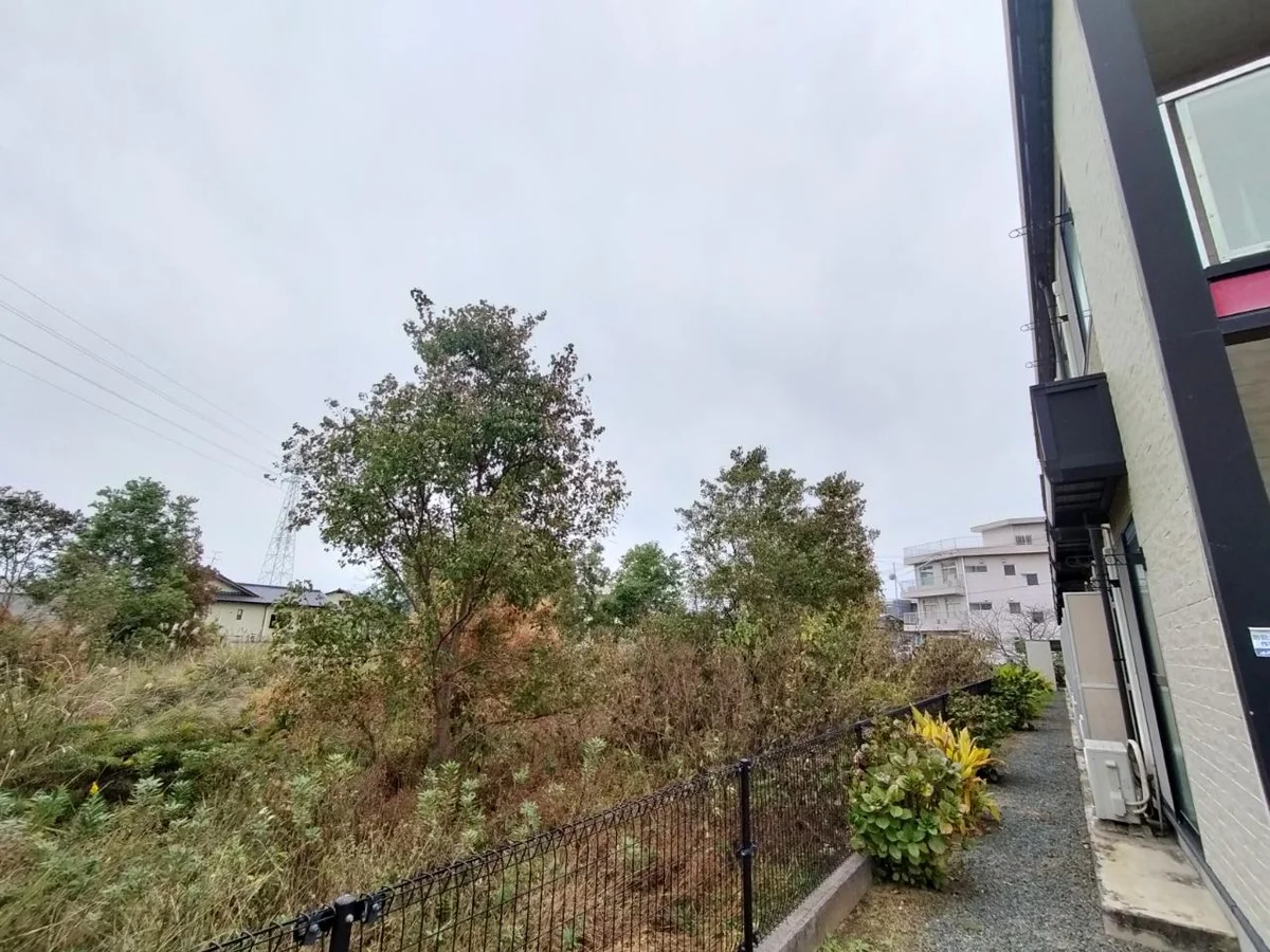 写真と現状が異なる場合は現状を優先します。