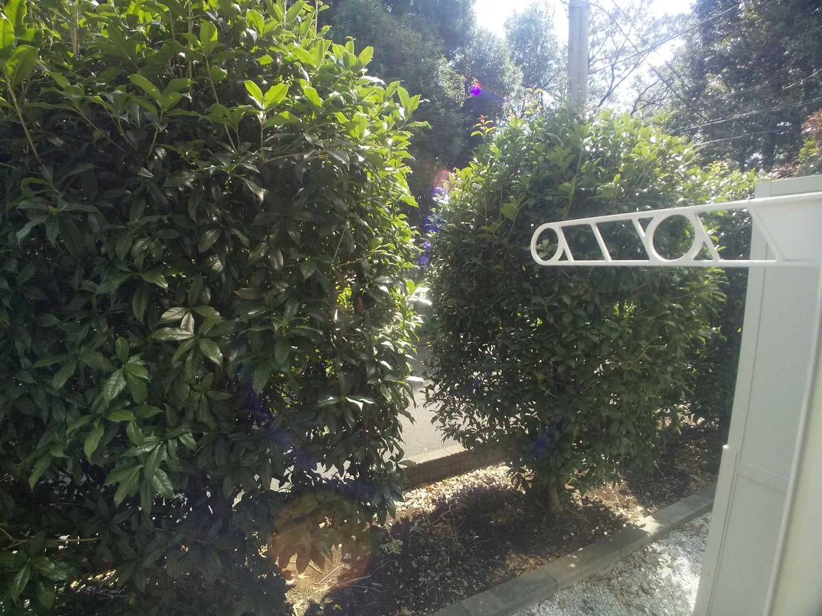 101-109　目隠しの植栽あり