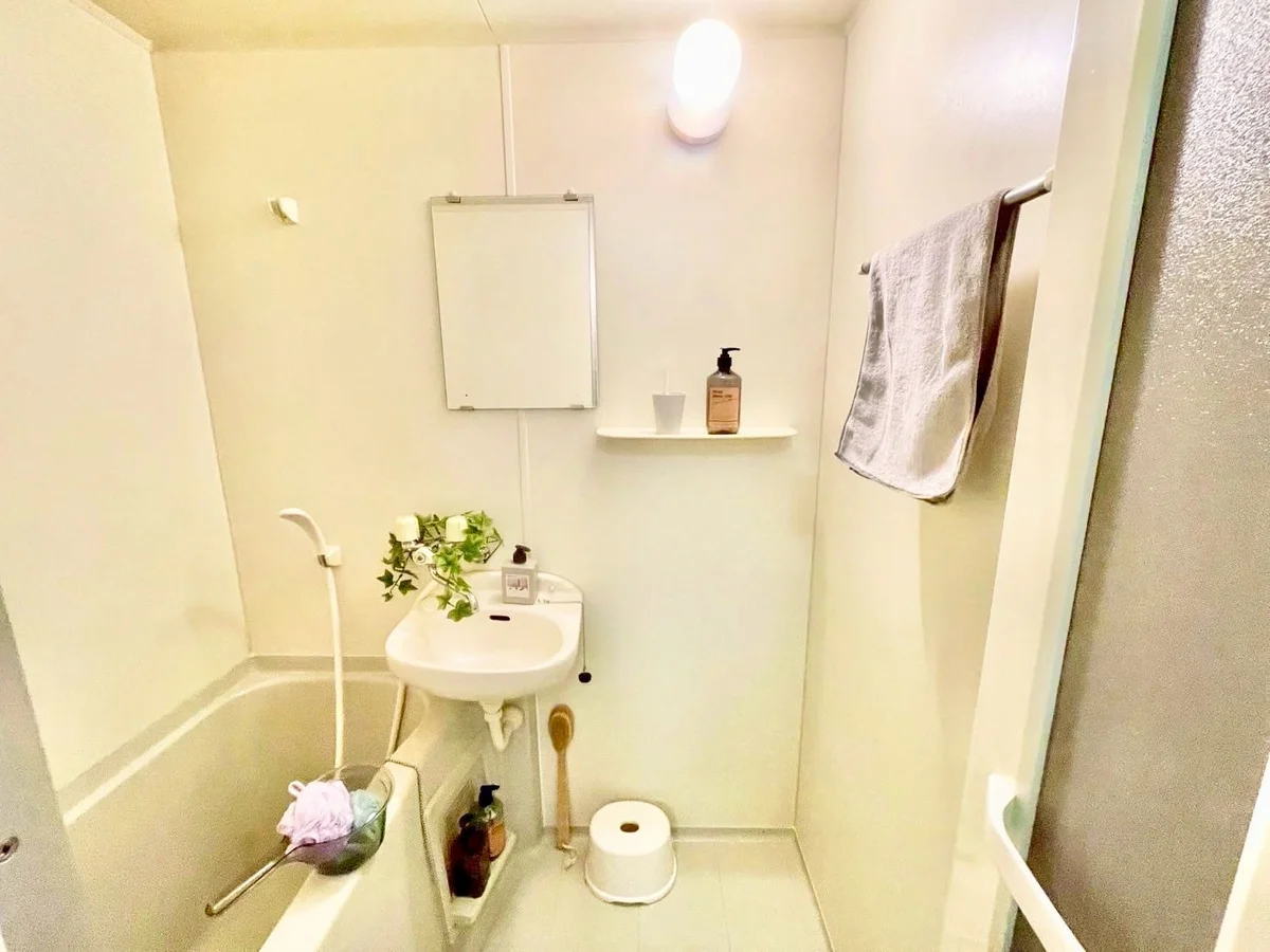 ※撮影用の観察植物・食器調理器具・雑貨類等はございません。※写真は現況優先