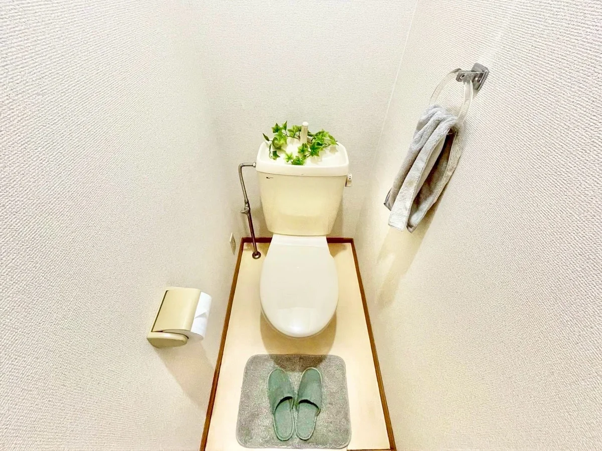 ※撮影用の観察植物・食器調理器具・雑貨類等はございません。※写真は現況優先