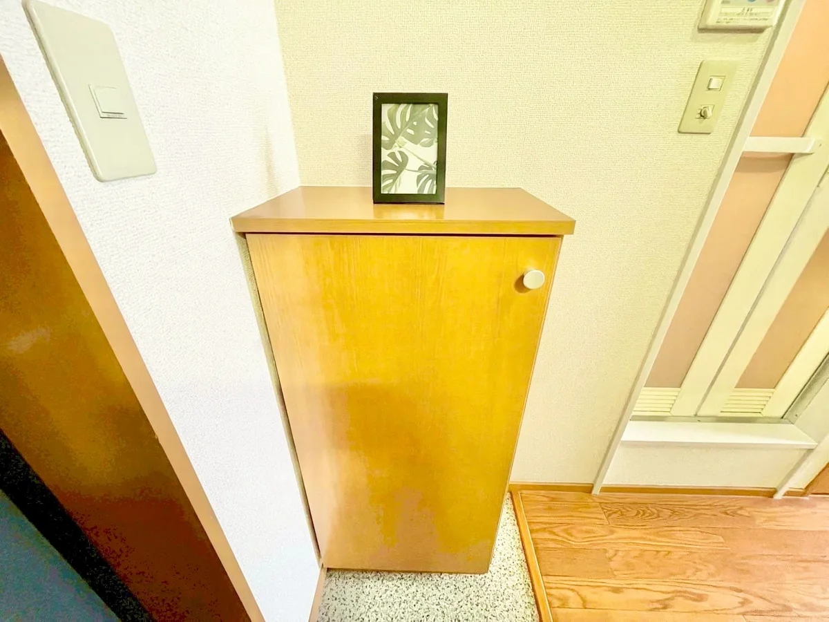 ※撮影用の観察植物・食器調理器具・雑貨類等はございません。※写真は現況優先