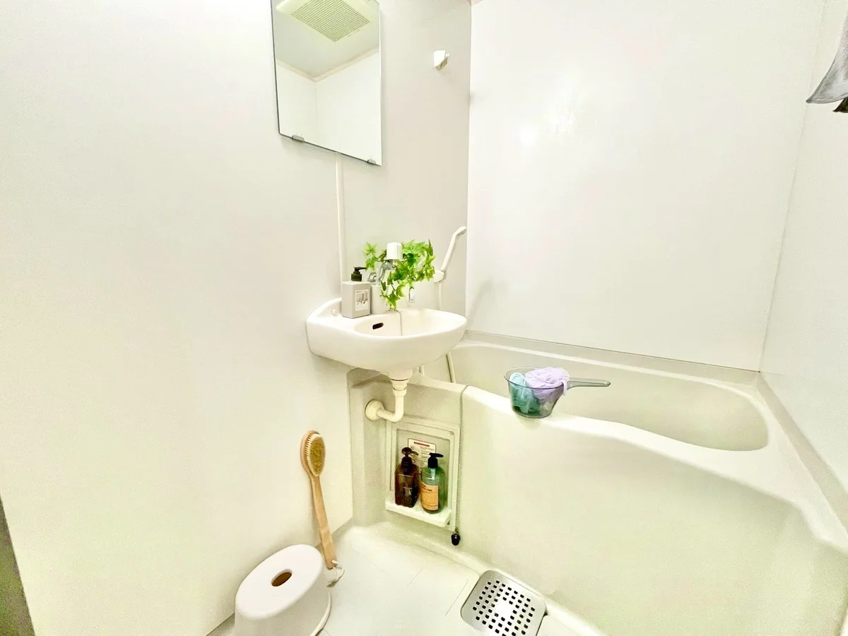 ※撮影用の観察植物・食器調理器具・雑貨類等はございません。※写真は現況優先