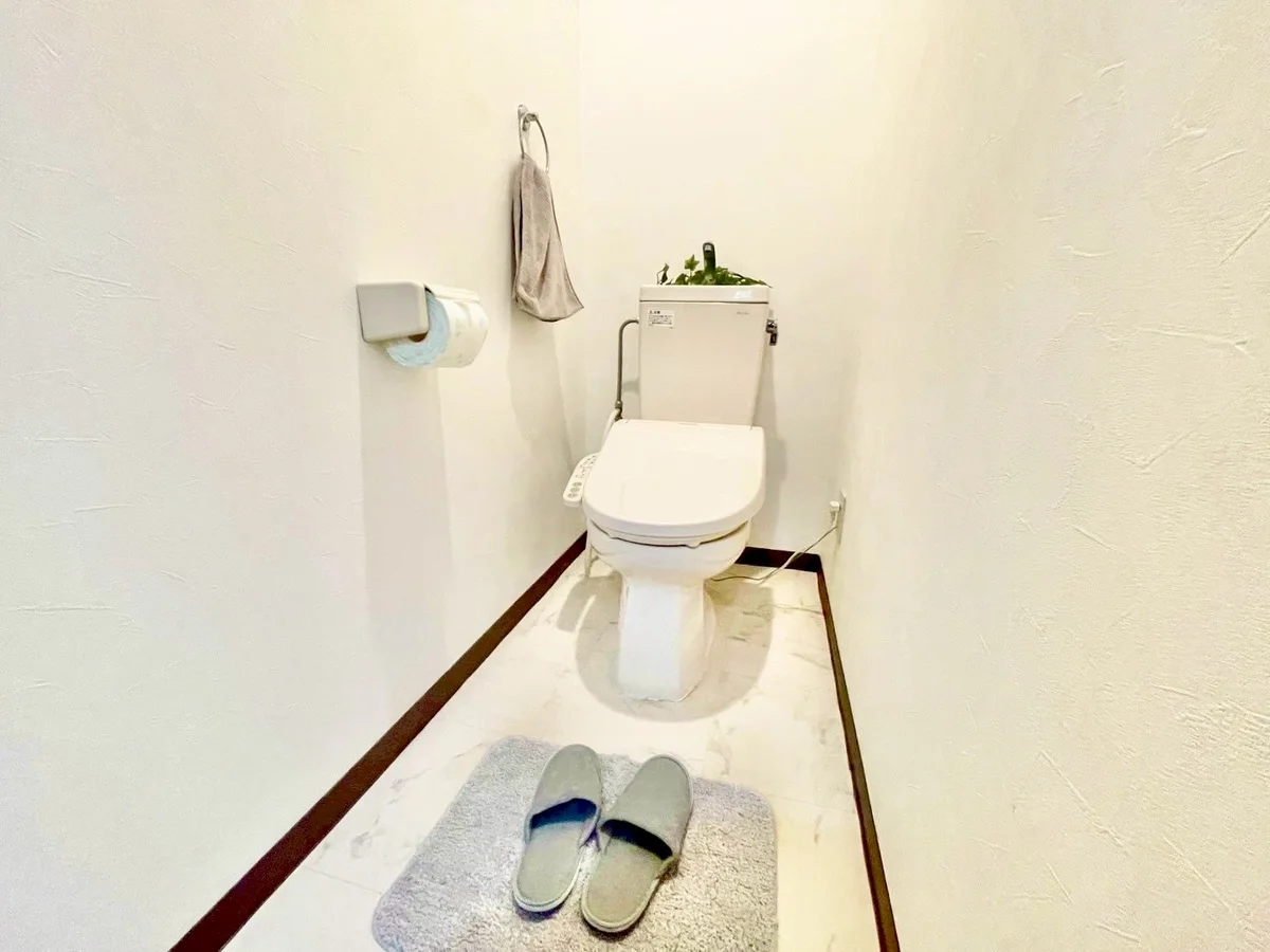 ※撮影用の観察植物・食器調理器具・雑貨類等はございません。※写真は現況優先