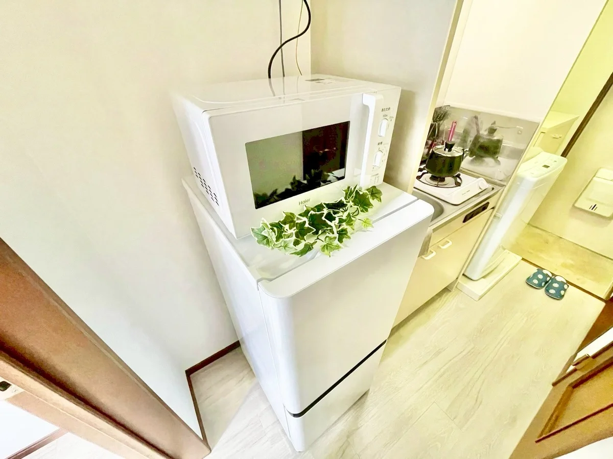 ※撮影用の観察植物・食器調理器具・雑貨類等はございません。※写真は現況優先