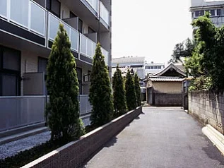 フラワーボックス