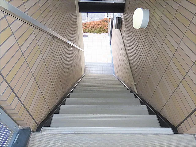 階段上からのアングルです