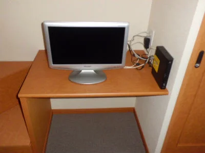 テレビとレオネット。