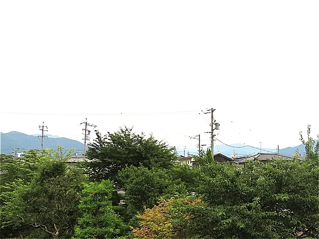 2階からのアングルです