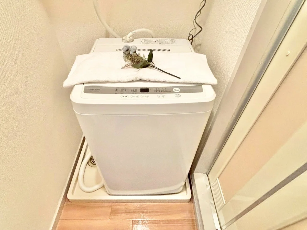 ※撮影用の観察植物・食器調理器具・雑貨類等はございません。※写真は現況優先