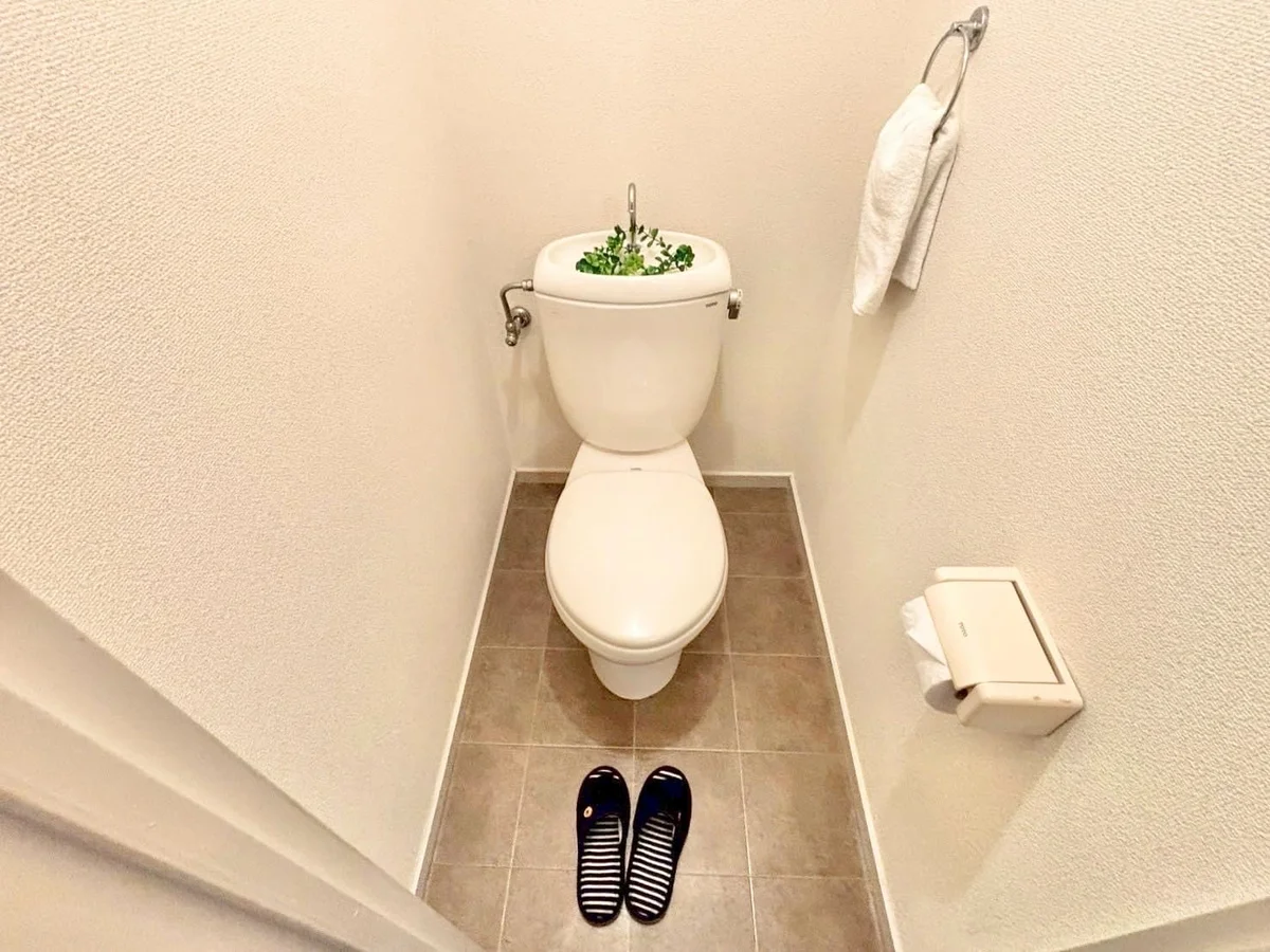 ※撮影用の観察植物・食器調理器具・雑貨類等はございません。※写真は現況優先