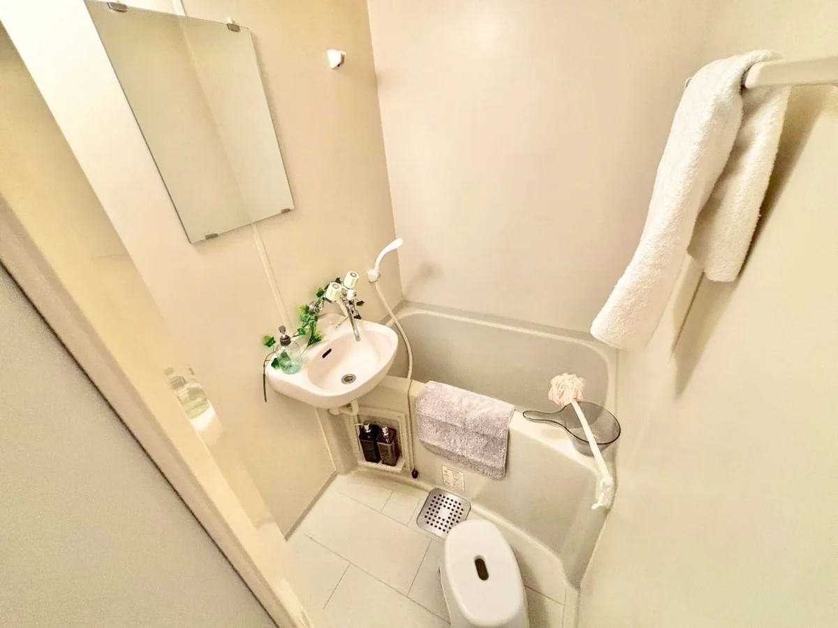 ※撮影用の観察植物・食器調理器具・雑貨類等はございません。※写真は現況優先