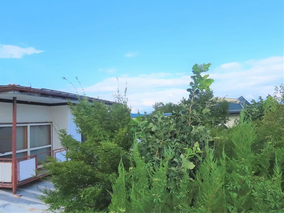 2階からのアングルです