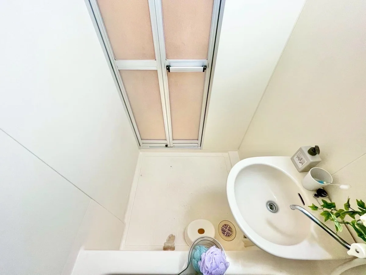 ※撮影用の観察植物・食器調理器具・雑貨類等はございません。※写真は現況優先