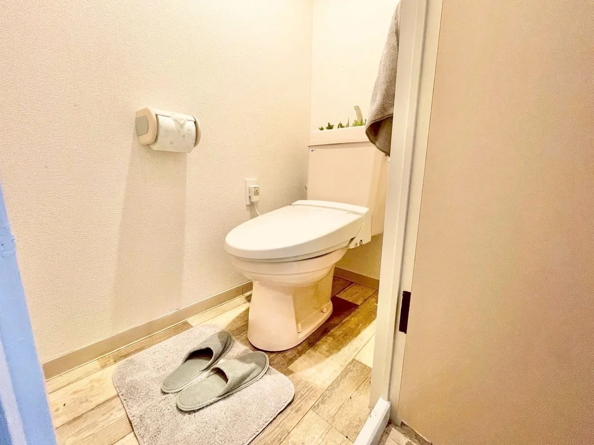 ※撮影用の観察植物・食器調理器具・雑貨類等はございません。※写真は現況優先