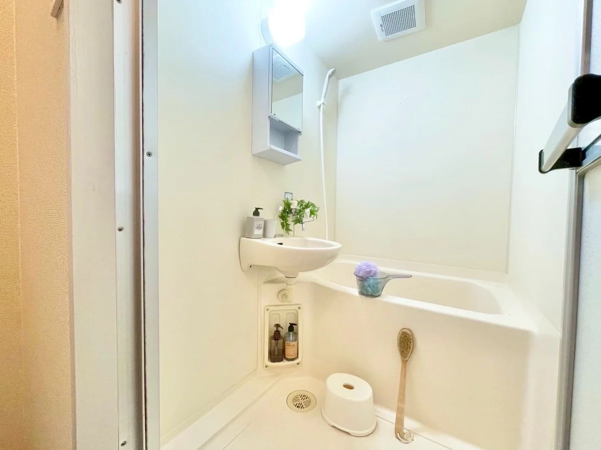 ※撮影用の観察植物・食器調理器具・雑貨類等はございません。※写真は現況優先