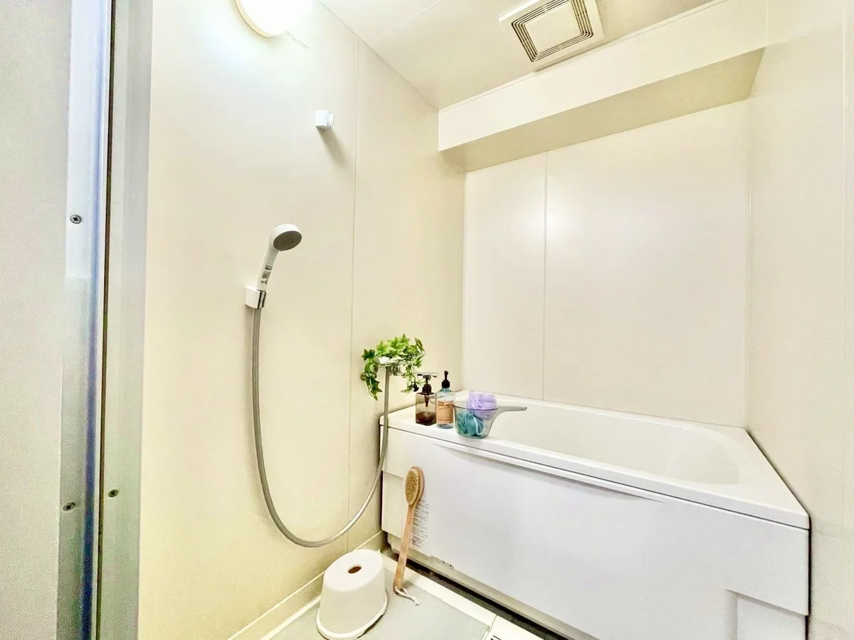 ※撮影用の観察植物・食器調理器具・雑貨類等はございません。※写真は現況優先