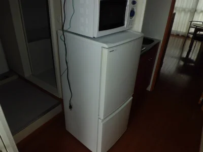 冷蔵庫と電子レンジ。