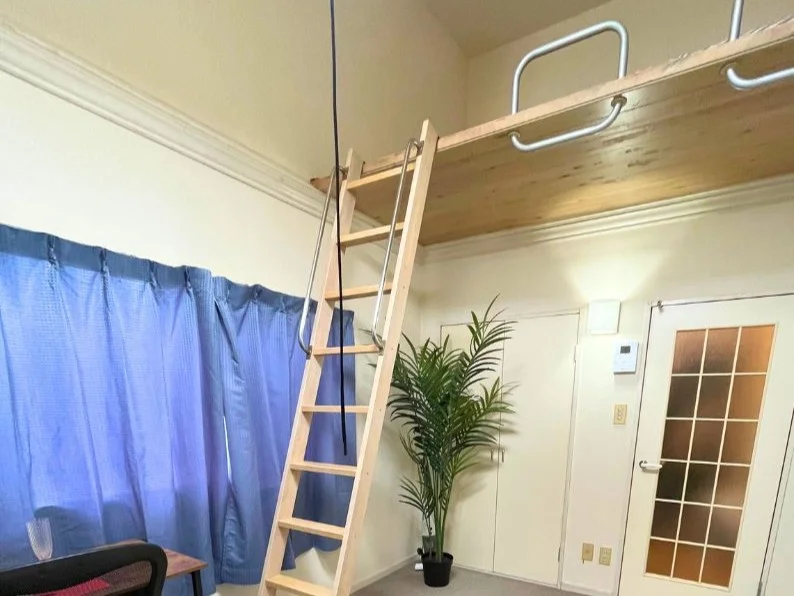 ※撮影用の観葉植物・雑貨類等はございません。