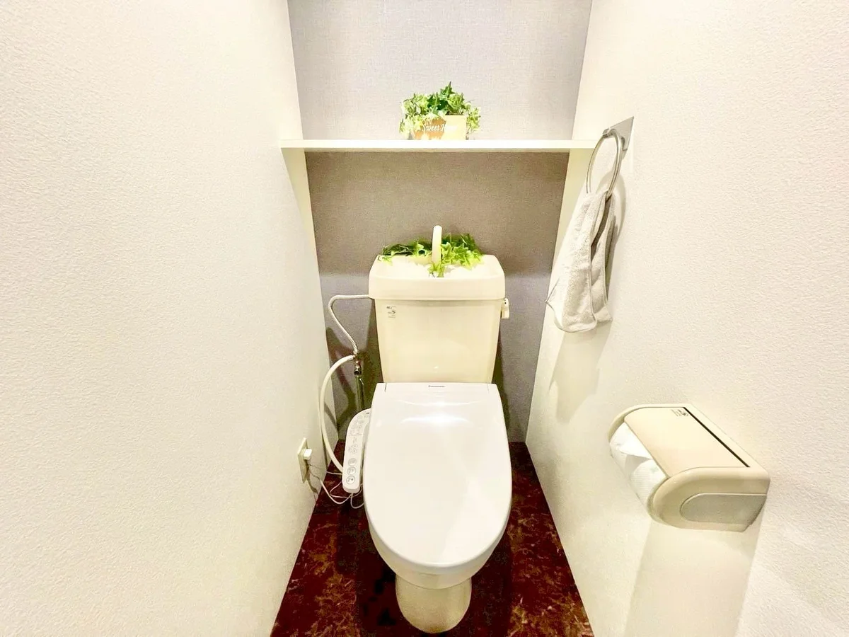 ※撮影用の観察植物・食器調理器具・雑貨類等はございません。※写真は現況優先