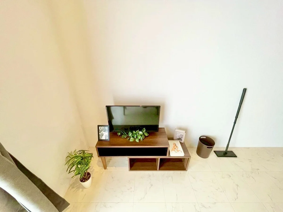 ※撮影用の観察植物・食器調理器具・雑貨類等はございません。※写真は現況優先