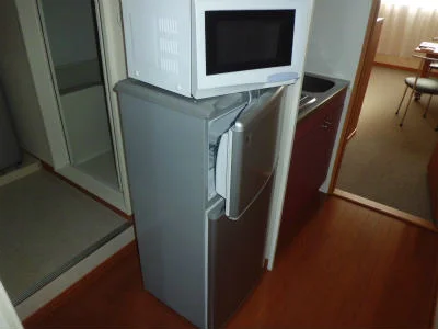 冷蔵庫と電子レンジ。