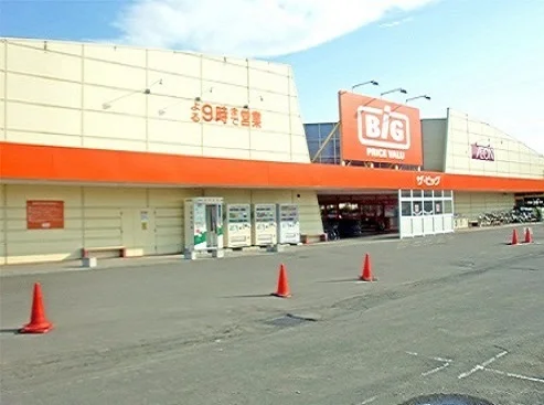 ザ・ビッグ岩見沢店まで1300m