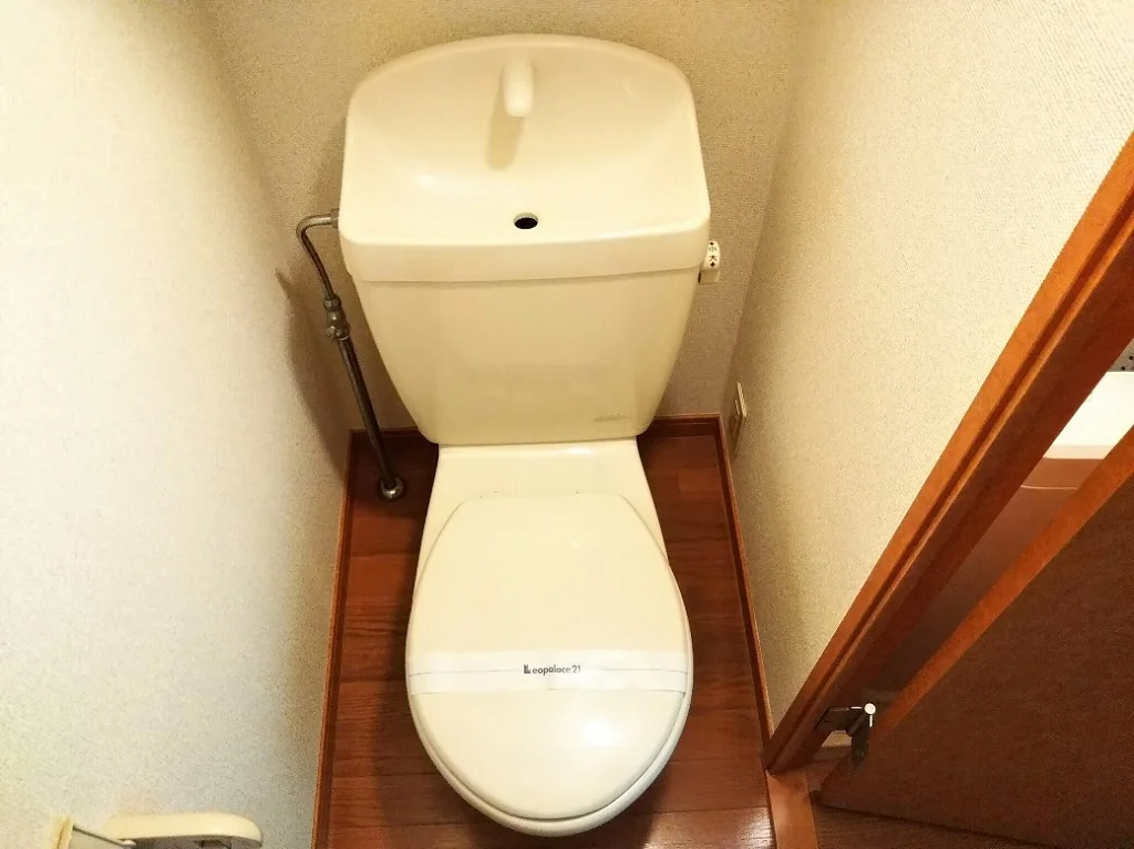 同タイプの写真です。