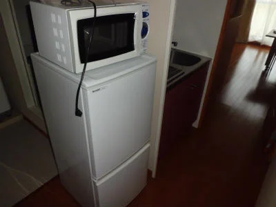 冷蔵庫と電子レンジ。