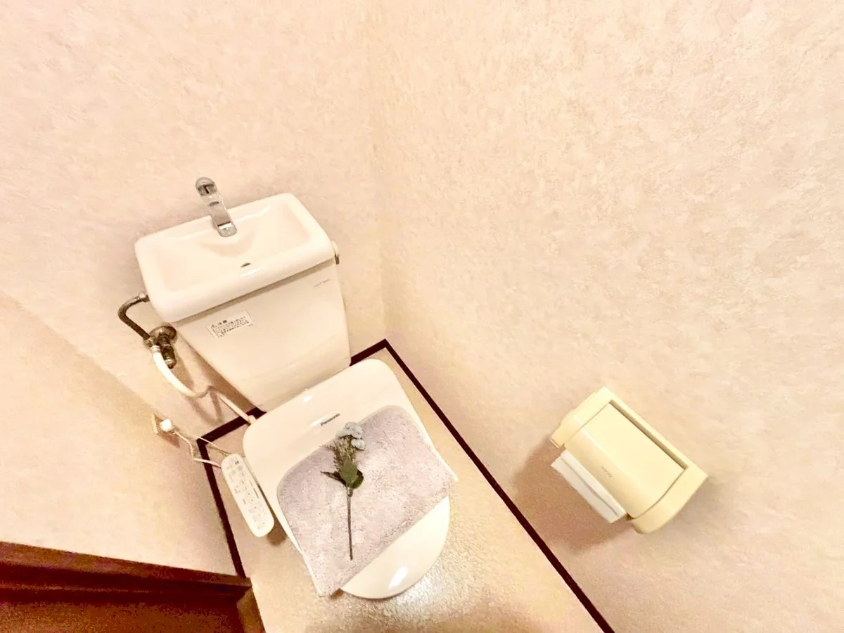 ※撮影用の観察植物・食器調理器具・雑貨類等はございません。※写真は現況優先