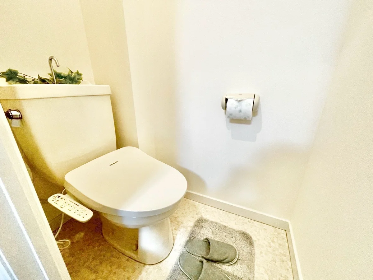 ※撮影用の観察植物・食器調理器具・雑貨類等はございません。※写真は現況優先