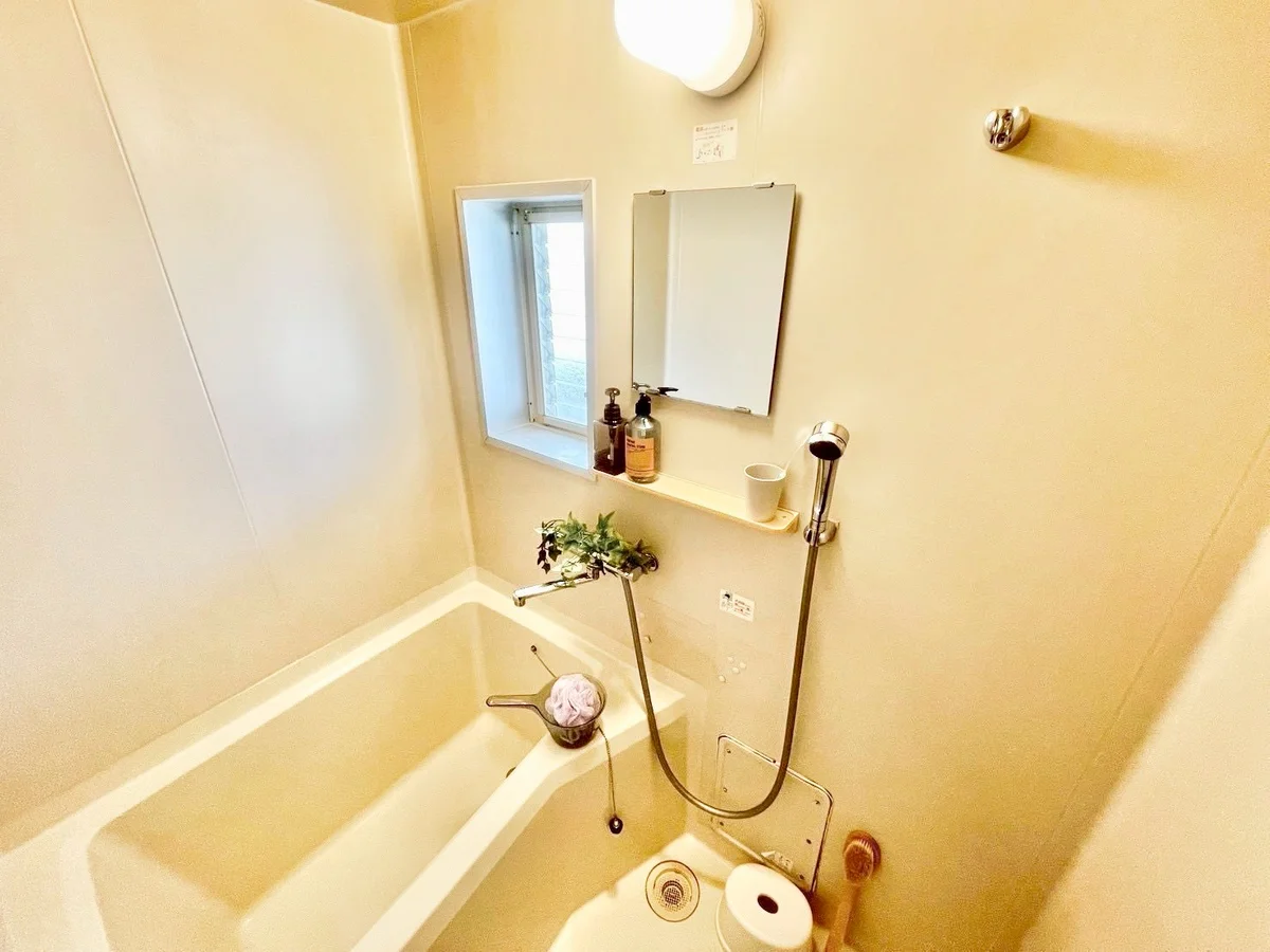 ※撮影用の観察植物・食器調理器具・雑貨類等はございません。※写真は現況優先