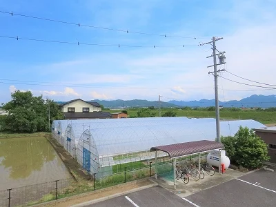 2階からのアングルです