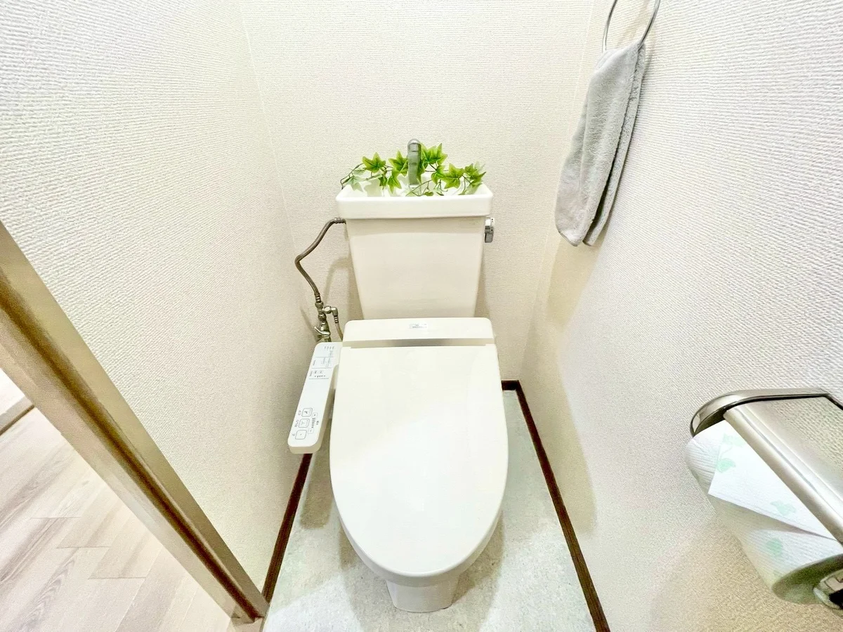 ※撮影用の観察植物・食器調理器具・雑貨類等はございません。※写真は現況優先