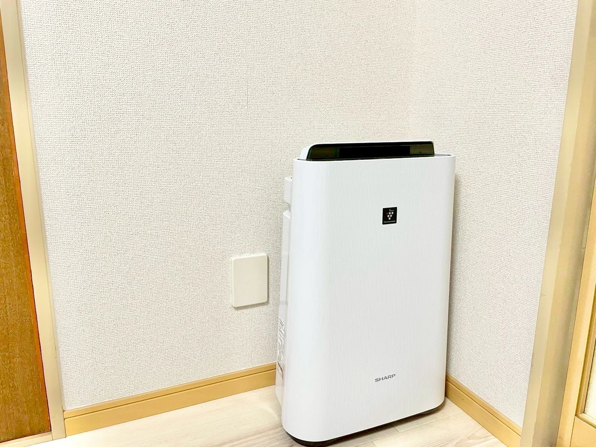 ※撮影用の観察植物・食器調理器具・雑貨類等はございません。※写真は現況優先