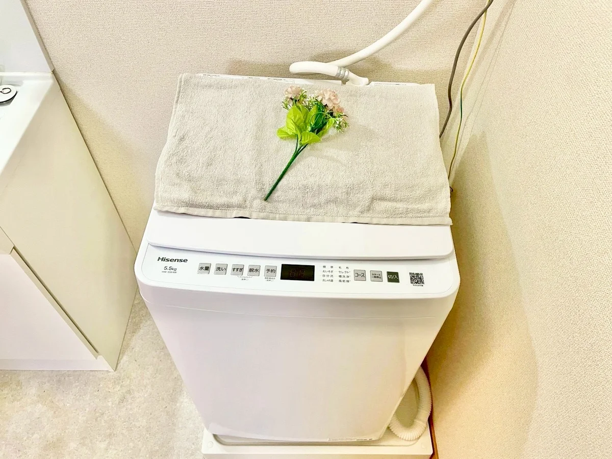 ※撮影用の観察植物・食器調理器具・雑貨類等はございません。※写真は現況優先