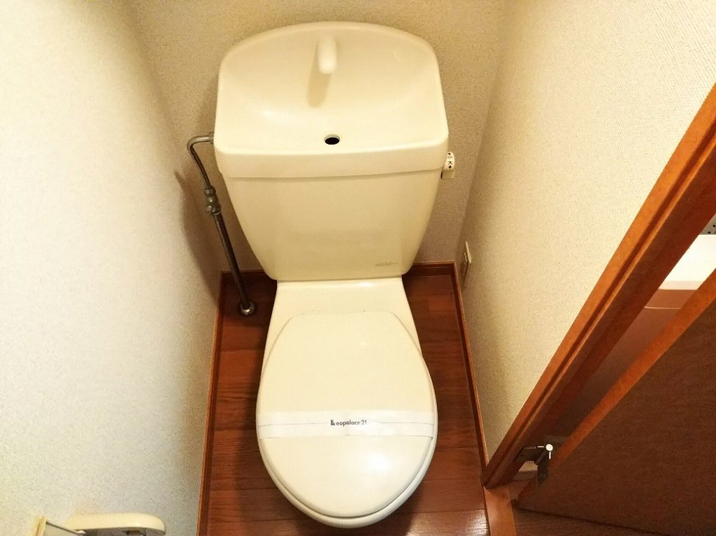 同タイプの写真です。