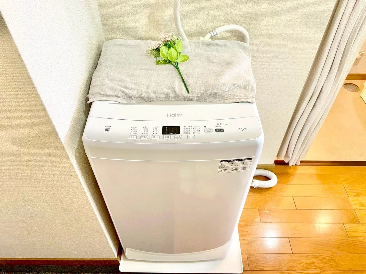 ※撮影用の観察植物・食器調理器具・雑貨類等はございません。※写真は現況優先