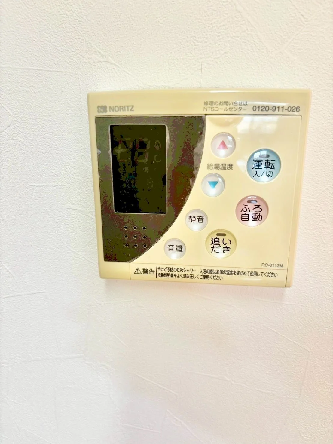 ※撮影用の観察植物・食器調理器具・雑貨類等はございません。※写真は現況優先