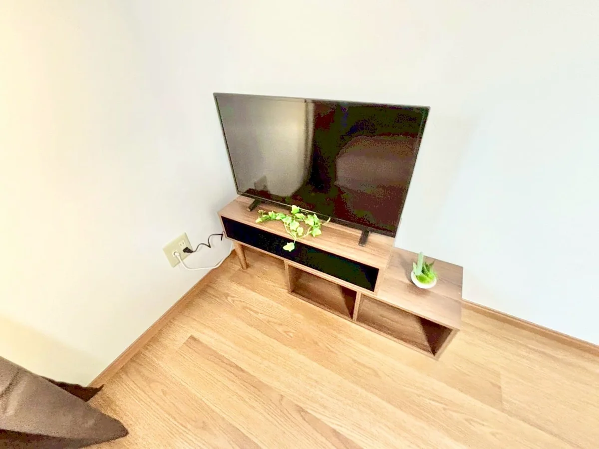 ※撮影用の観察植物・食器調理器具・雑貨類等はございません。※写真は現況優先