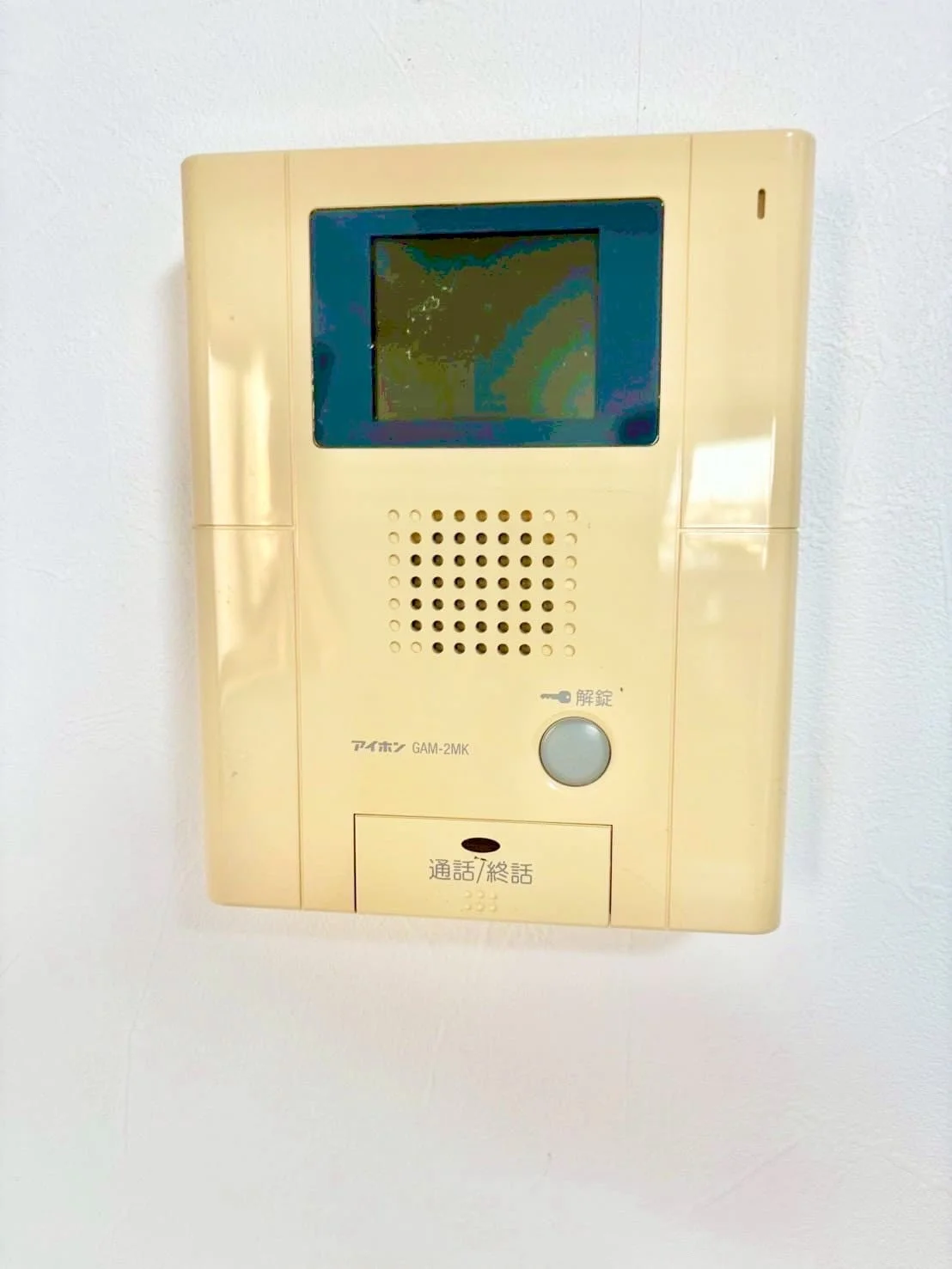 ※撮影用の観察植物・食器調理器具・雑貨類等はございません。※写真は現況優先