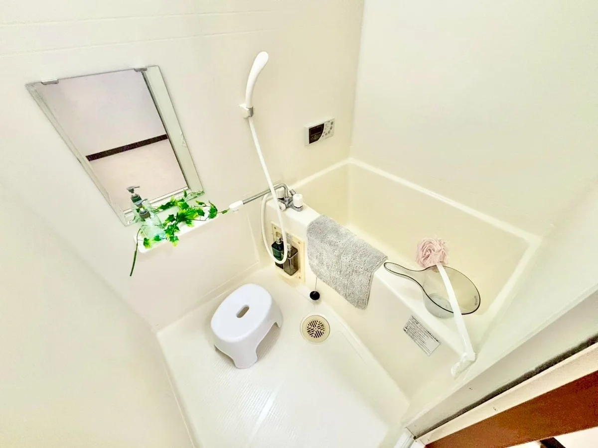 ※撮影用の観察植物・食器調理器具・雑貨類等はございません。※写真は現況優先