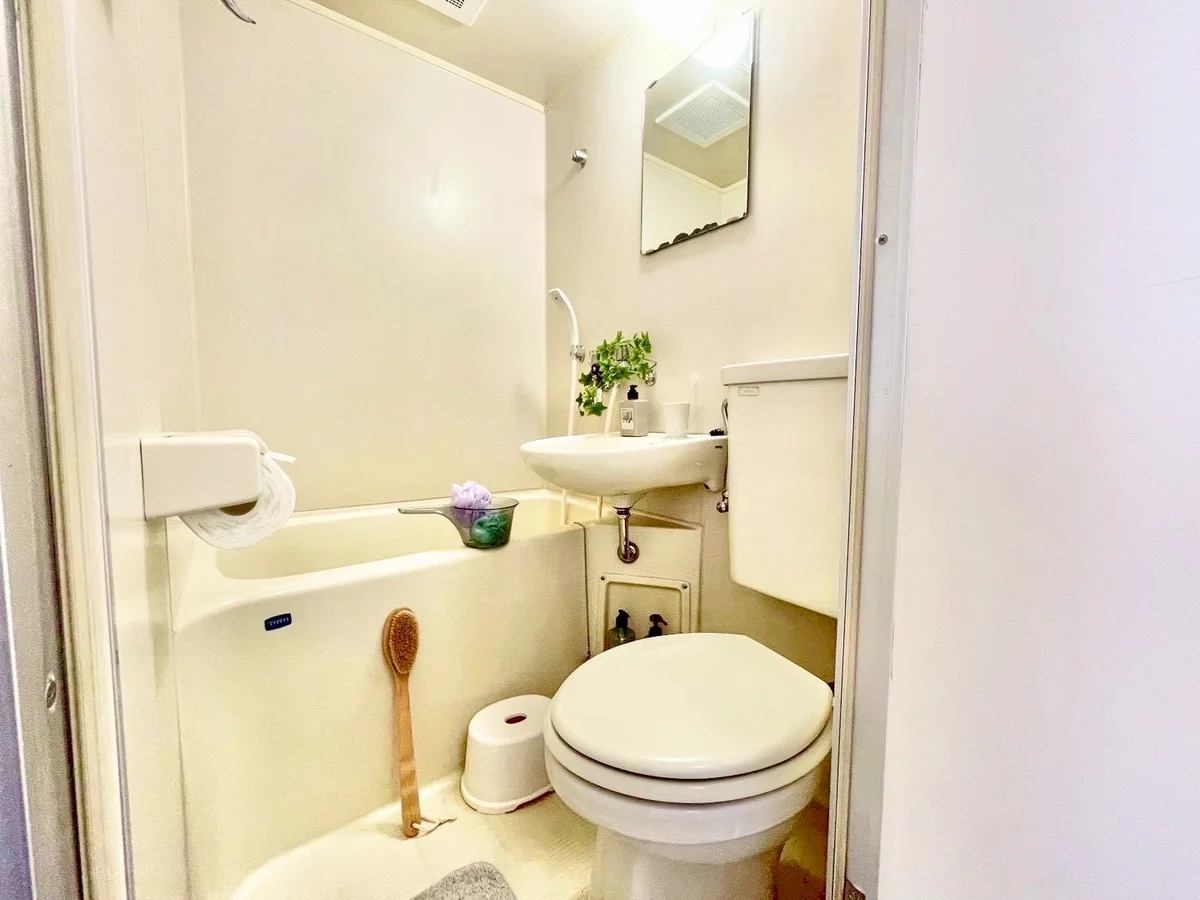 ※撮影用の観察植物・食器調理器具・雑貨類等はございません。※写真は現況優先