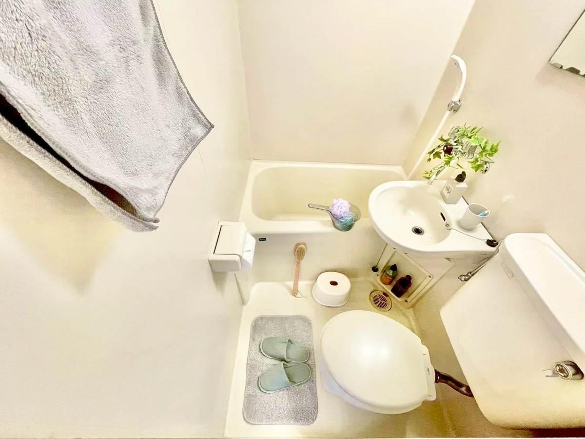 ※撮影用の観察植物・食器調理器具・雑貨類等はございません。※写真は現況優先