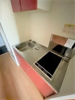 同タイプ写真の為、現況優先。