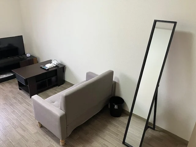 TV、ローテーブル、ソファー、姿見があります。