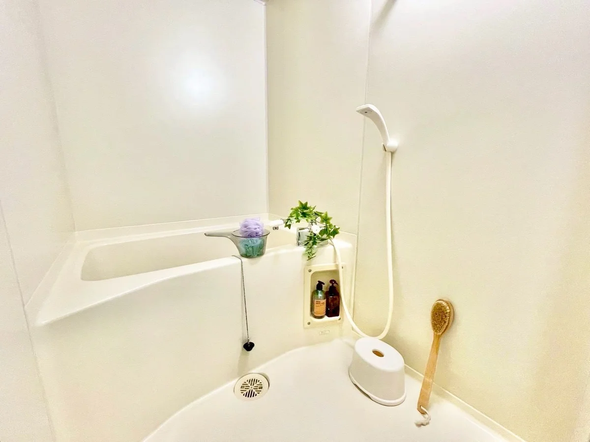 ※撮影用の観察植物・食器調理器具・雑貨類等はございません。※写真は現況優先