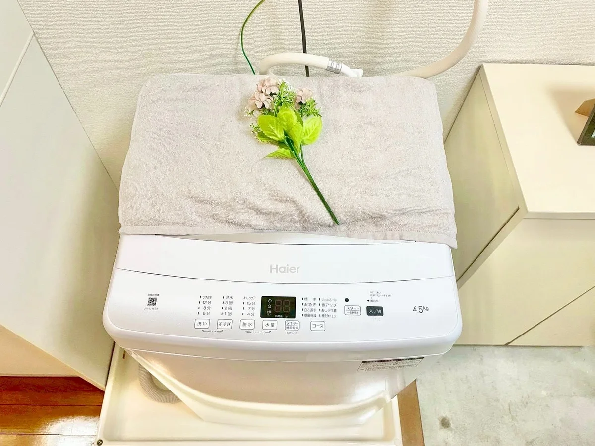 ※撮影用の観察植物・食器調理器具・雑貨類等はございません。※写真は現況優先