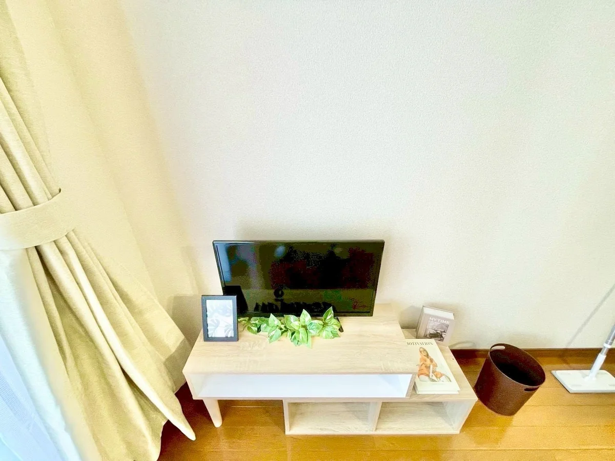 ※撮影用の観察植物・食器調理器具・雑貨類等はございません。※写真は現況優先